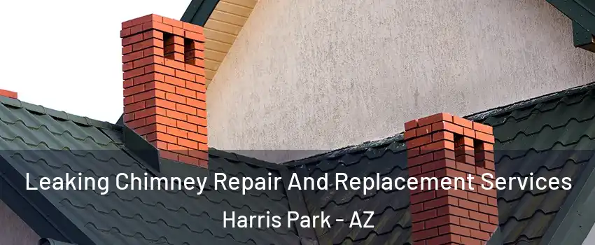 Leaking Chimney Repair And Replacement Services Harris Park - AZ