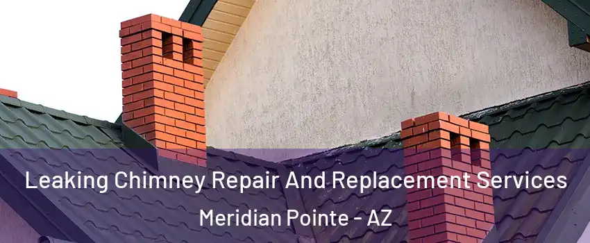 Leaking Chimney Repair And Replacement Services Meridian Pointe - AZ