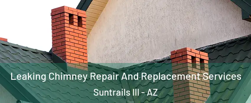 Leaking Chimney Repair And Replacement Services Suntrails III - AZ