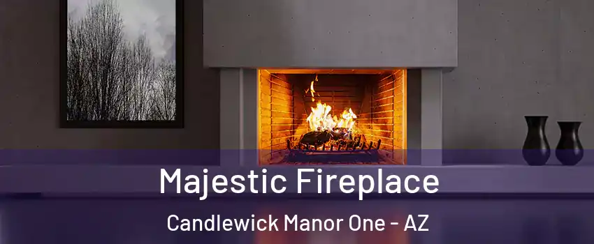 Majestic Fireplace Candlewick Manor One - AZ