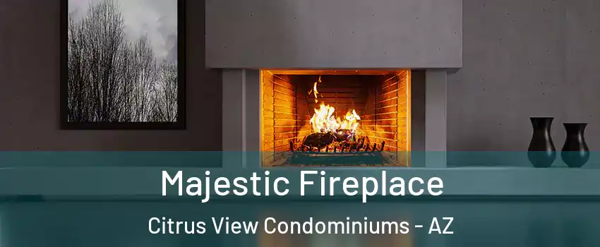 Majestic Fireplace Citrus View Condominiums - AZ