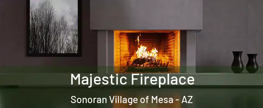 Majestic Fireplace Sonoran Village of Mesa - AZ