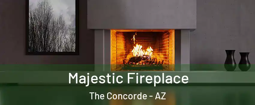 Majestic Fireplace The Concorde - AZ