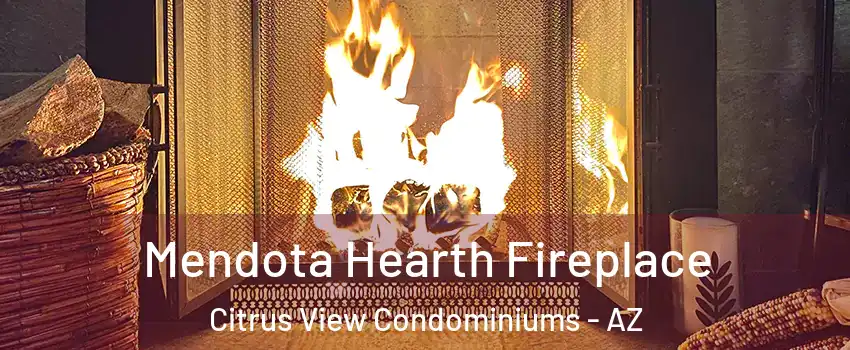 Mendota Hearth Fireplace Citrus View Condominiums - AZ