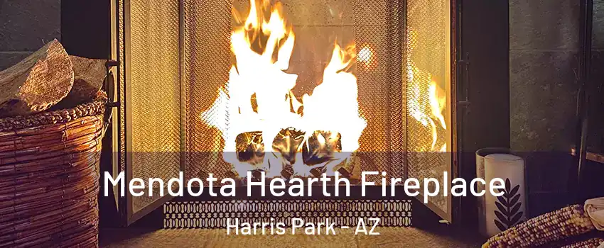 Mendota Hearth Fireplace Harris Park - AZ
