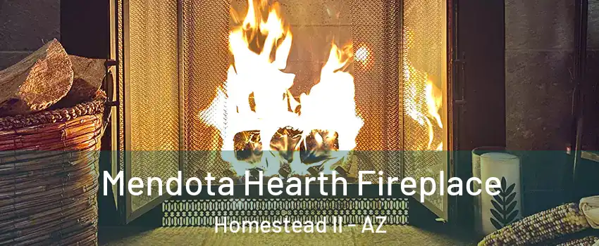 Mendota Hearth Fireplace Homestead II - AZ