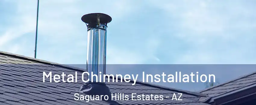 Metal Chimney Installation Saguaro Hills Estates - AZ