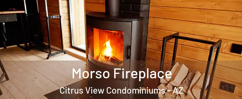 Morso Fireplace Citrus View Condominiums - AZ