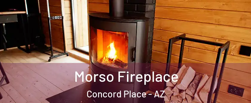 Morso Fireplace Concord Place - AZ