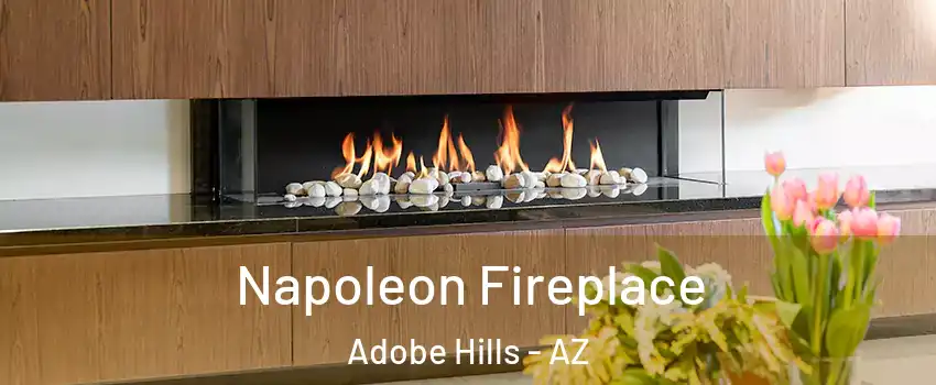 Napoleon Fireplace Adobe Hills - AZ