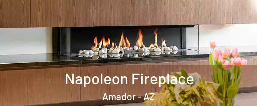 Napoleon Fireplace Amador - AZ