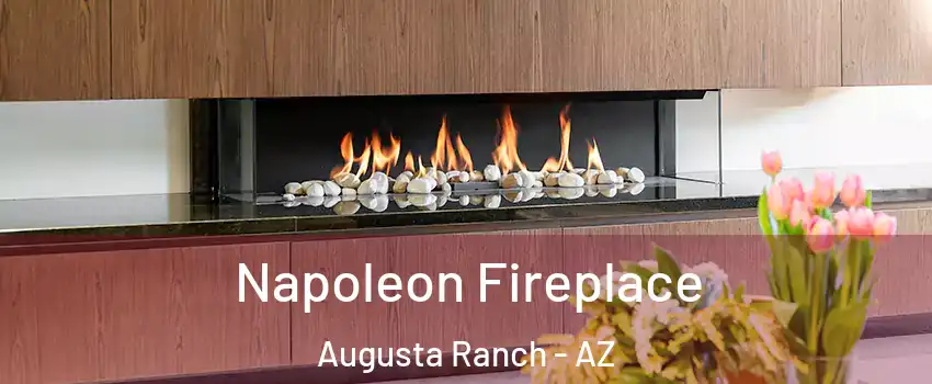 Napoleon Fireplace Augusta Ranch - AZ