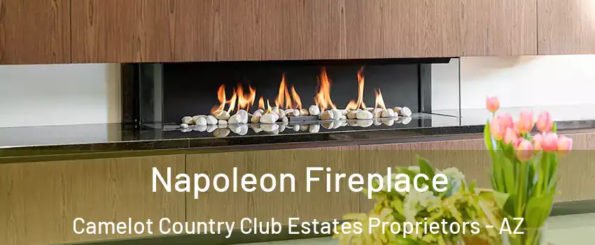 Napoleon Fireplace Camelot Country Club Estates Proprietors - AZ