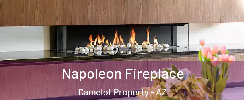 Napoleon Fireplace Camelot Property - AZ