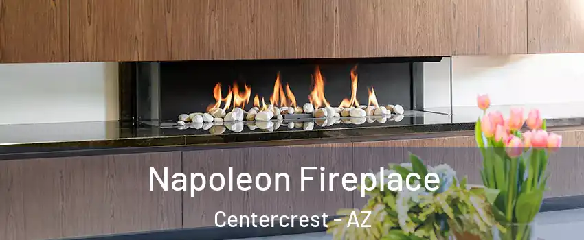 Napoleon Fireplace Centercrest - AZ