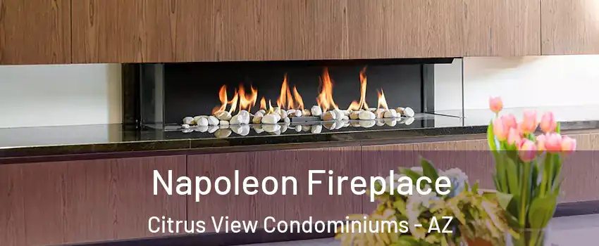 Napoleon Fireplace Citrus View Condominiums - AZ