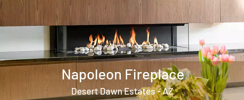 Napoleon Fireplace Desert Dawn Estates - AZ