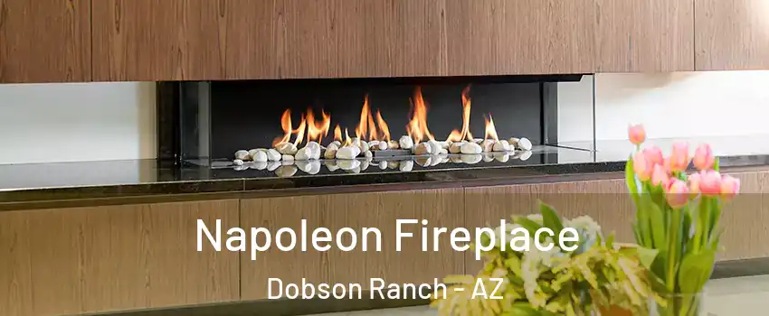 Napoleon Fireplace Dobson Ranch - AZ