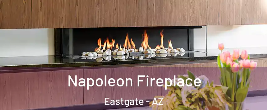 Napoleon Fireplace Eastgate - AZ