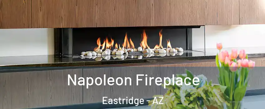 Napoleon Fireplace Eastridge - AZ