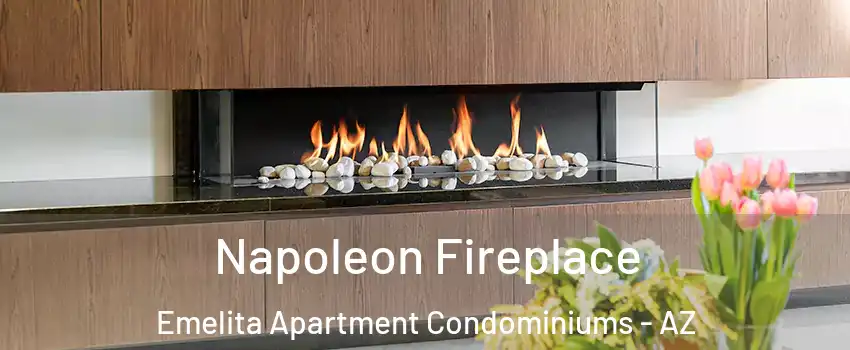 Napoleon Fireplace Emelita Apartment Condominiums - AZ