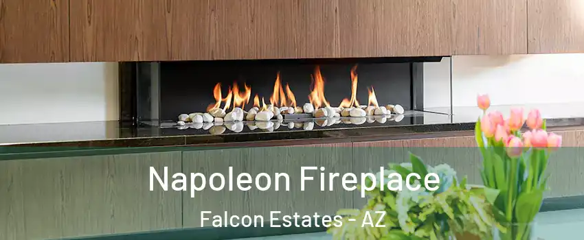 Napoleon Fireplace Falcon Estates - AZ
