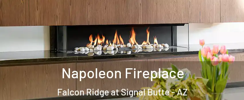 Napoleon Fireplace Falcon Ridge at Signal Butte - AZ