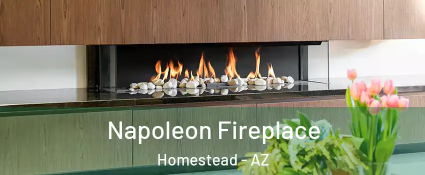 Napoleon Fireplace Homestead - AZ