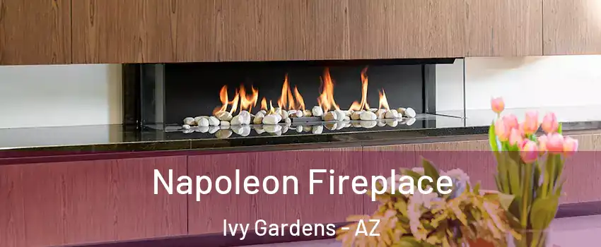 Napoleon Fireplace Ivy Gardens - AZ
