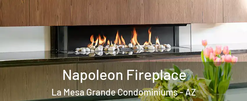 Napoleon Fireplace La Mesa Grande Condominiums - AZ
