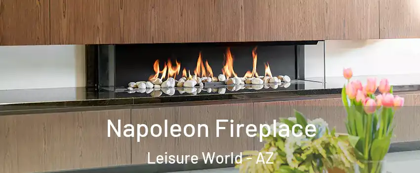 Napoleon Fireplace Leisure World - AZ