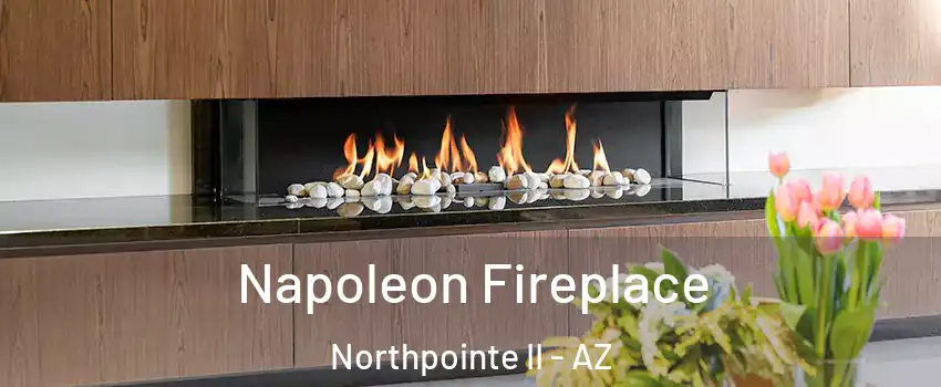 Napoleon Fireplace Northpointe II - AZ