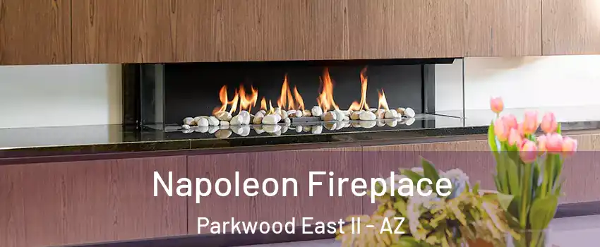 Napoleon Fireplace Parkwood East II - AZ