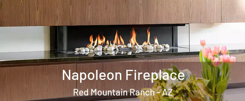 Napoleon Fireplace Red Mountain Ranch - AZ