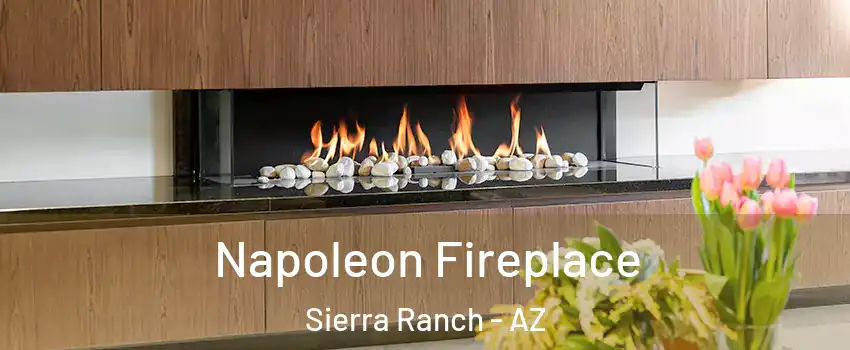 Napoleon Fireplace Sierra Ranch - AZ
