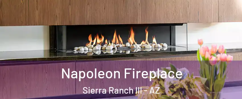 Napoleon Fireplace Sierra Ranch III - AZ