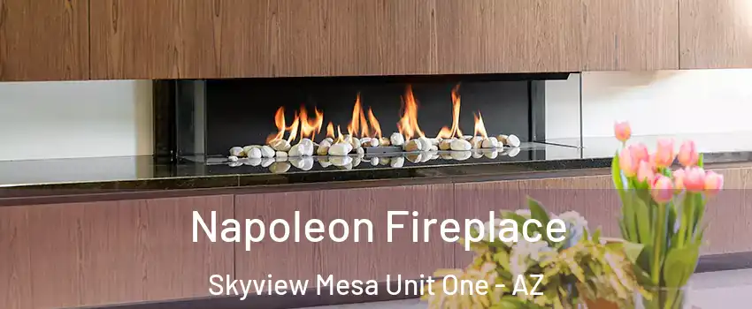 Napoleon Fireplace Skyview Mesa Unit One - AZ