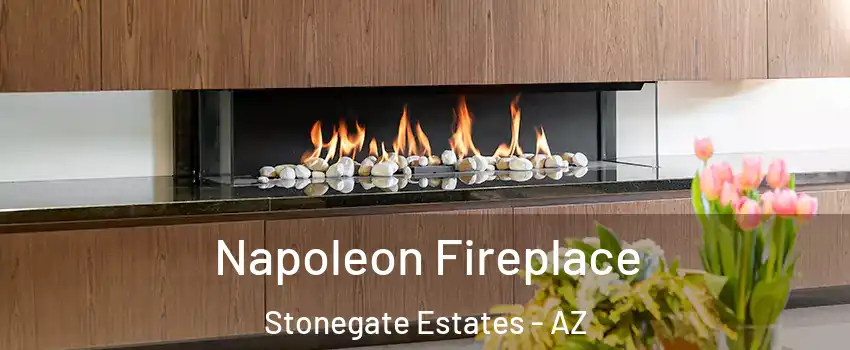 Napoleon Fireplace Stonegate Estates - AZ