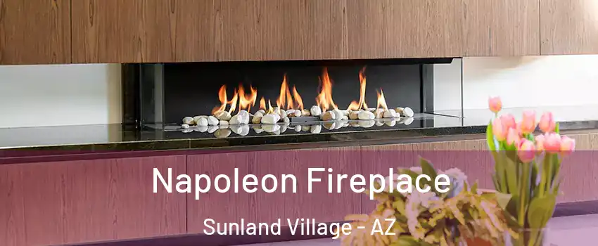 Napoleon Fireplace Sunland Village - AZ