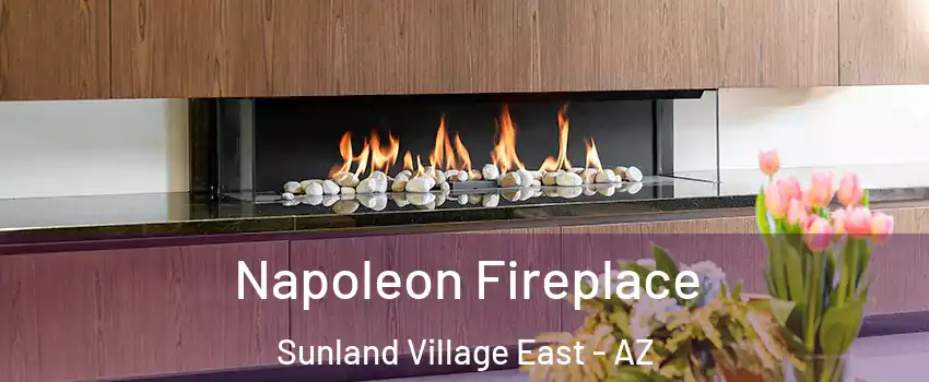 Napoleon Fireplace Sunland Village East - AZ