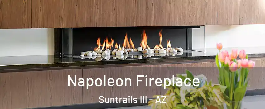Napoleon Fireplace Suntrails III - AZ