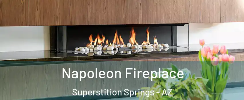 Napoleon Fireplace Superstition Springs - AZ