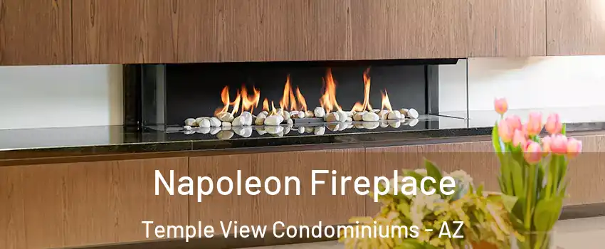 Napoleon Fireplace Temple View Condominiums - AZ
