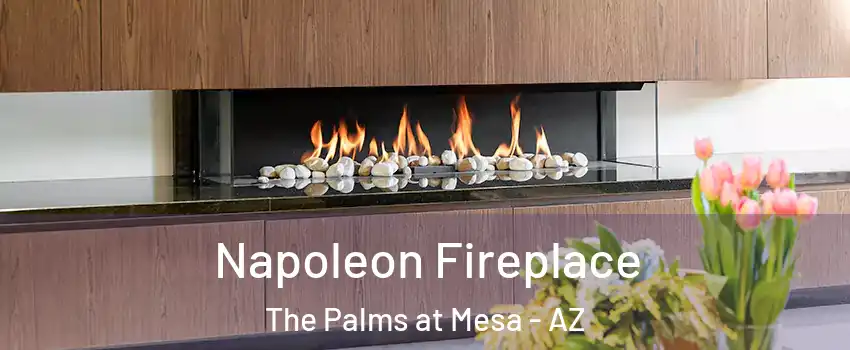 Napoleon Fireplace The Palms at Mesa - AZ