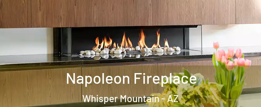 Napoleon Fireplace Whisper Mountain - AZ