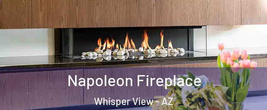 Napoleon Fireplace Whisper View - AZ
