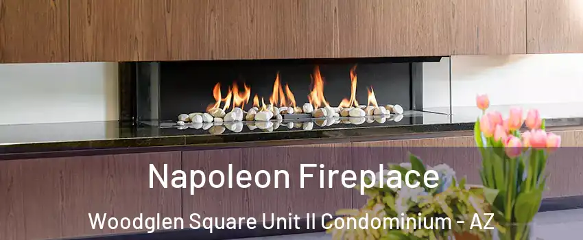 Napoleon Fireplace Woodglen Square Unit II Condominium - AZ