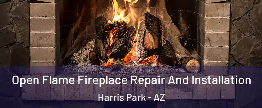 Open Flame Fireplace Repair And Installation Harris Park - AZ