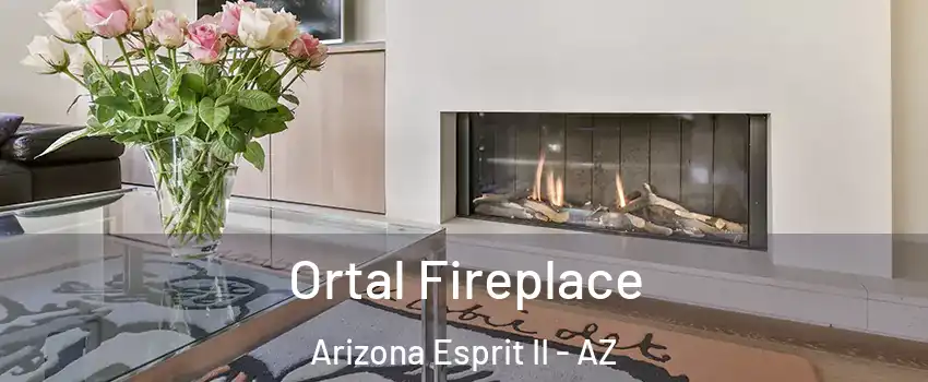 Ortal Fireplace Arizona Esprit II - AZ