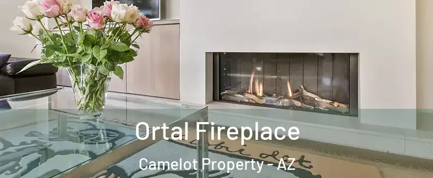 Ortal Fireplace Camelot Property - AZ